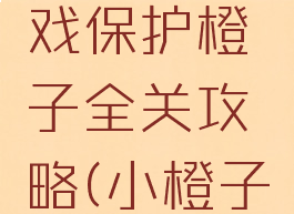 益智小游戏保护橙子全关攻略(小橙子过关游戏)