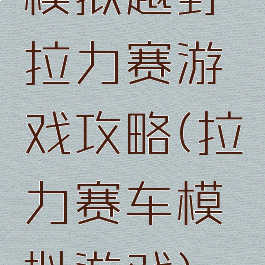 模拟越野拉力赛游戏攻略(拉力赛车模拟游戏)